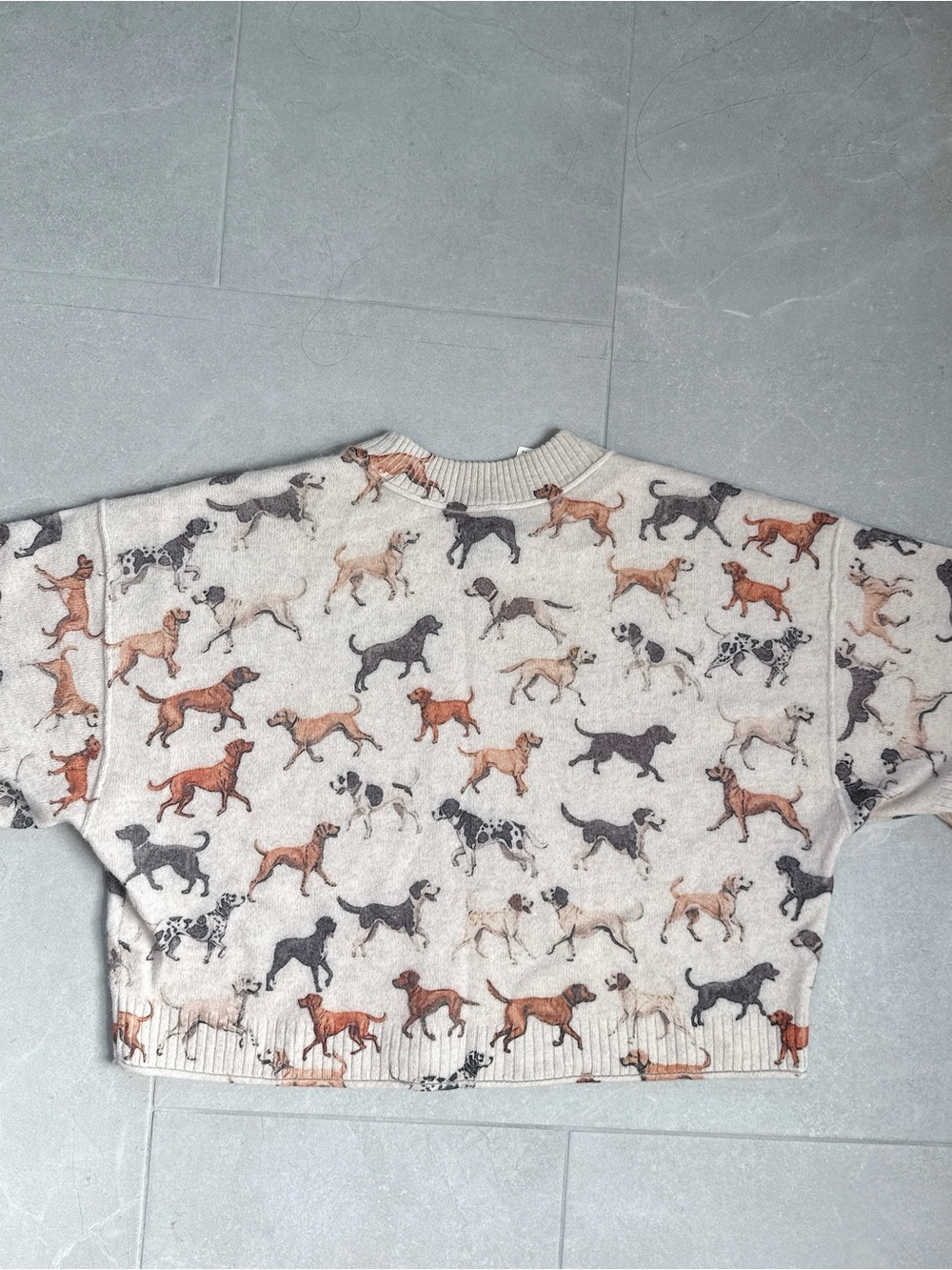 NWT By Anthropologie Goldie Crew-Neck 100% Cashmere Sweater Dog Lover - Picture 5 of 8